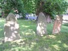 DSCN0600.JPG