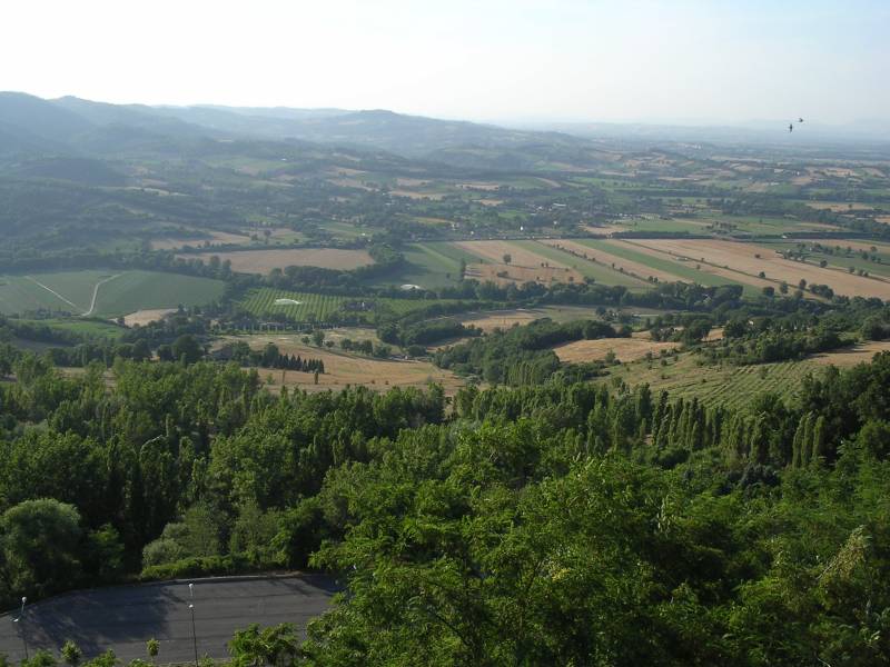 DSCN3110.JPG