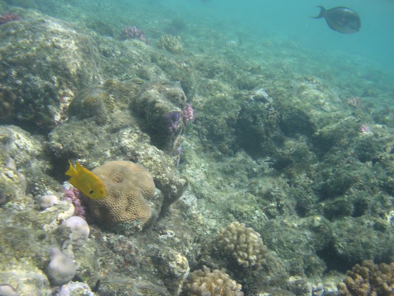 DSCN4608.JPG