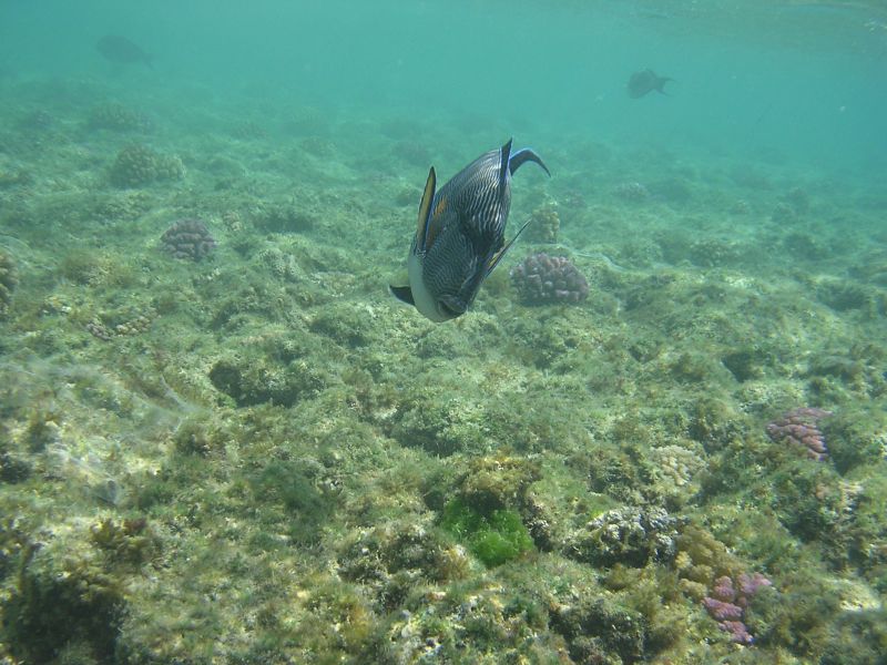 DSCN4609.JPG