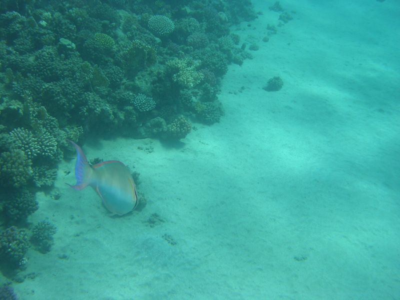 DSCN4612.JPG