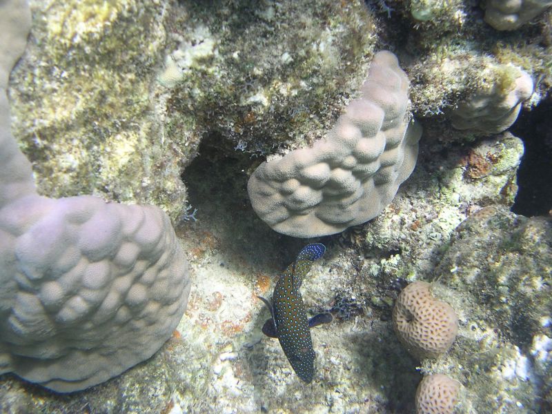 DSCN4623.JPG