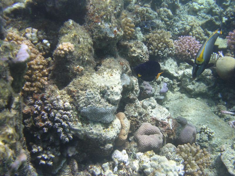 DSCN4629.JPG