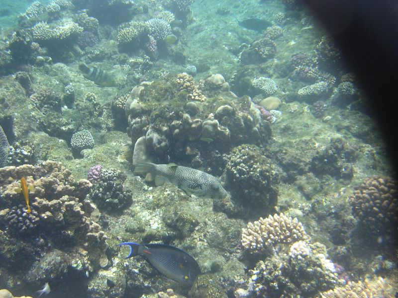 DSCN4768.JPG