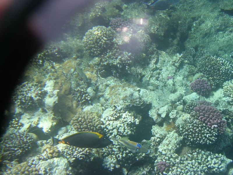 DSCN4771.JPG
