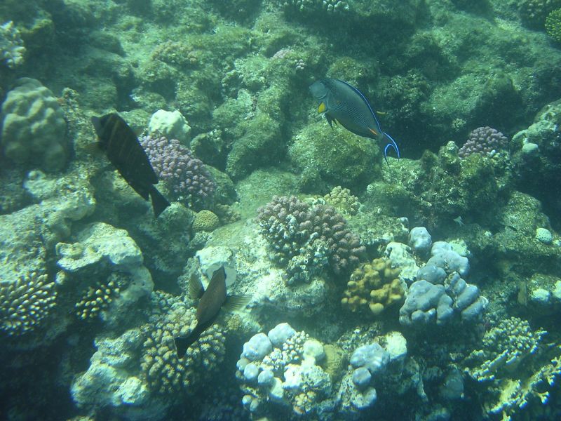 DSCN4775.JPG