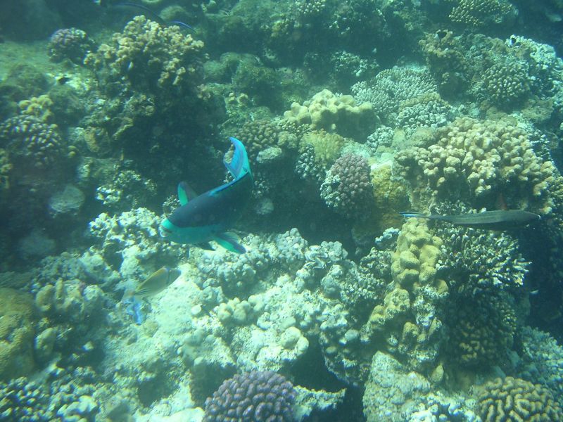 DSCN4777.JPG