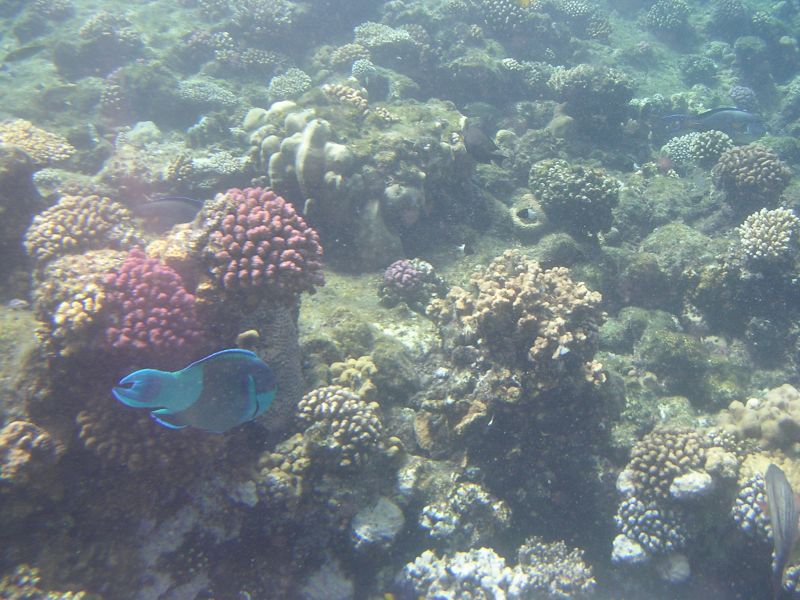 DSCN4779.JPG