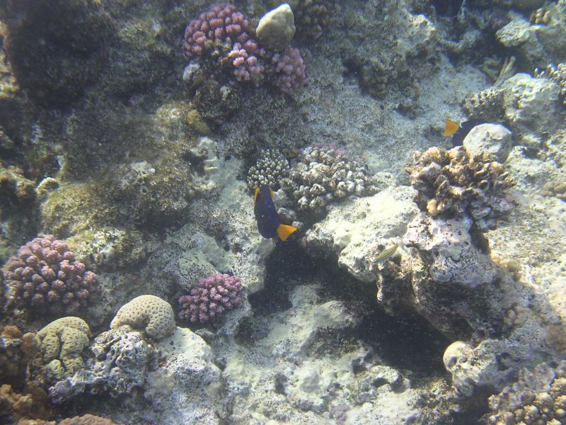 DSCN4788.JPG