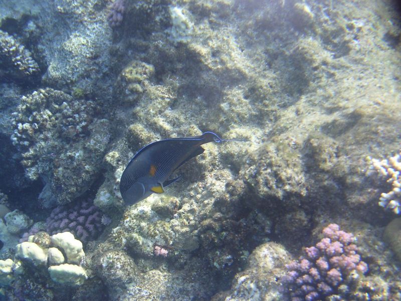 DSCN4793.JPG
