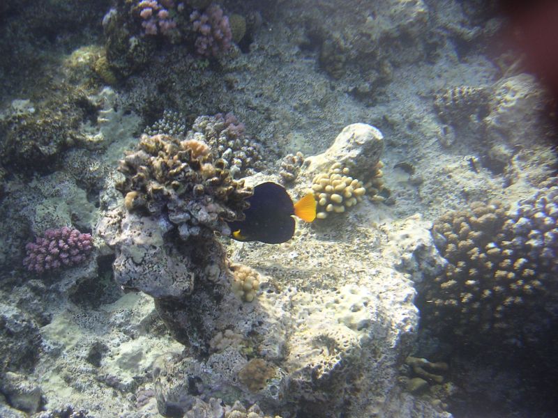 DSCN4798.JPG