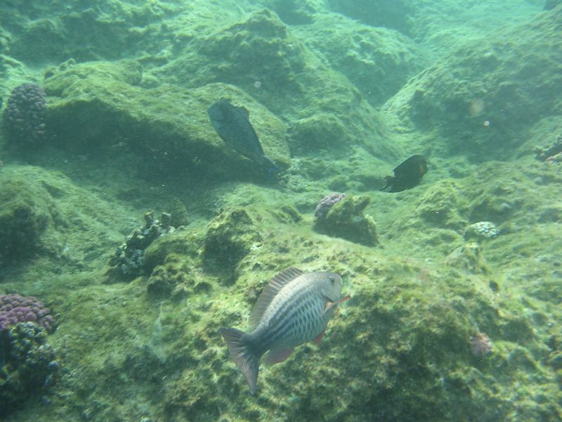 DSCN4805.JPG