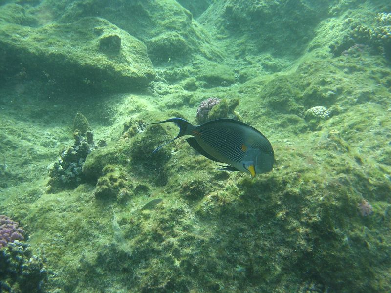 DSCN4806.JPG
