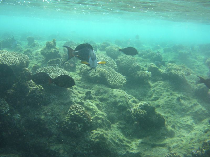 DSCN4811.JPG