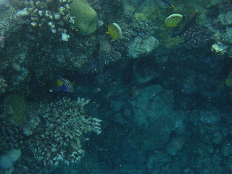 DSCN4823.JPG