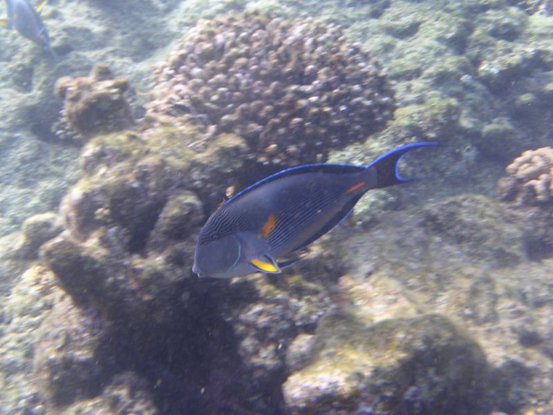 DSCN4836.JPG