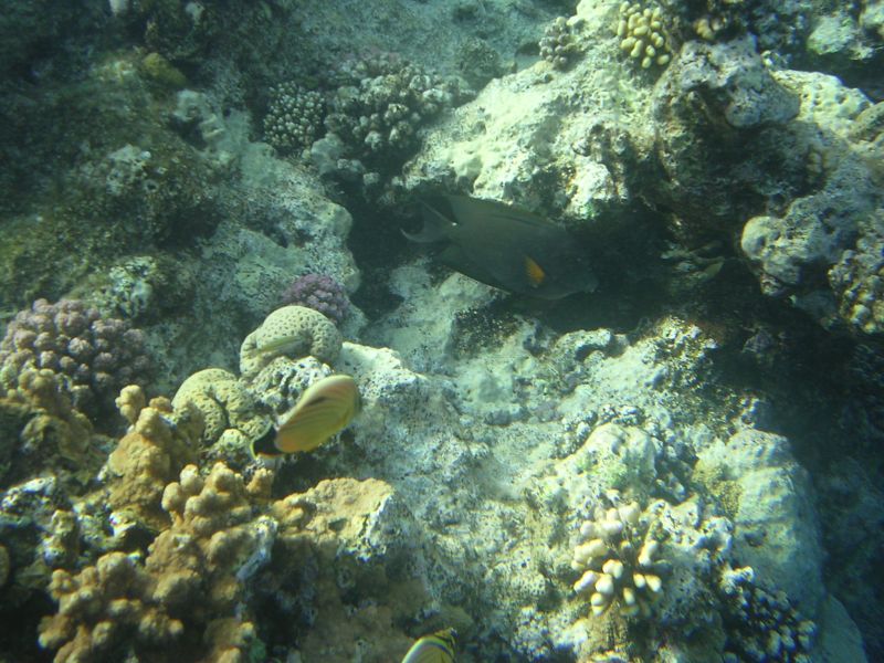 DSCN4837.JPG