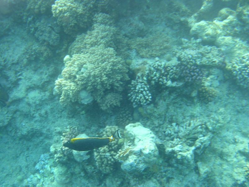 DSCN4861.JPG