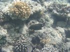 DSCN4597.JPG