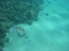 DSCN4612.JPG