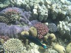 DSCN4625.JPG