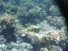 DSCN4766.JPG