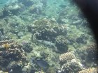 DSCN4768.JPG