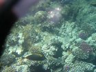 DSCN4771.JPG
