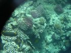 DSCN4772.JPG