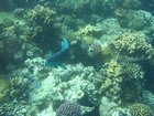 DSCN4777.JPG