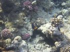 DSCN4788.JPG