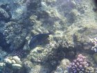 DSCN4793.JPG