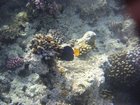 DSCN4798.JPG