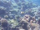 DSCN4802.JPG