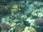 DSCN4808.JPG