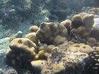 DSCN4814.JPG