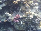 DSCN4815.JPG