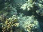 DSCN4837.JPG