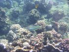 DSCN4851.JPG