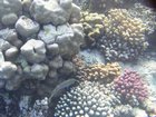 DSCN4852.JPG