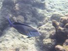 DSCN4857.JPG