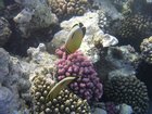 DSCN4870.JPG