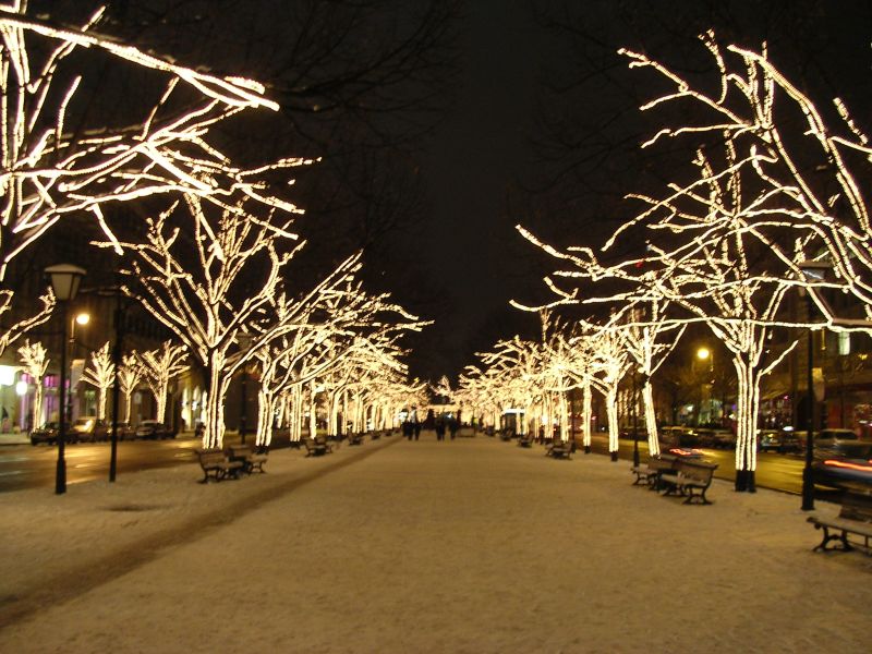 DSCN5234.JPG, 28/12/2005, 143 kB