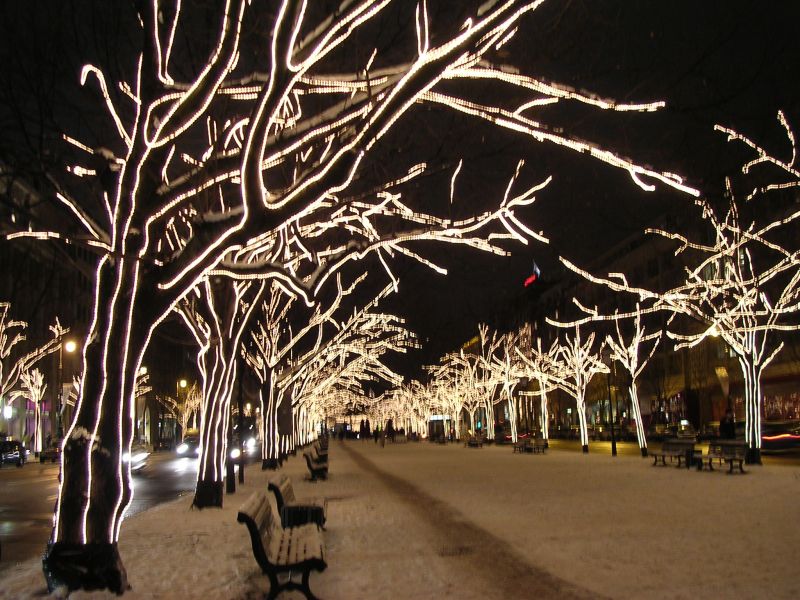 DSCN5236.JPG, 28/12/2005, 153 kB