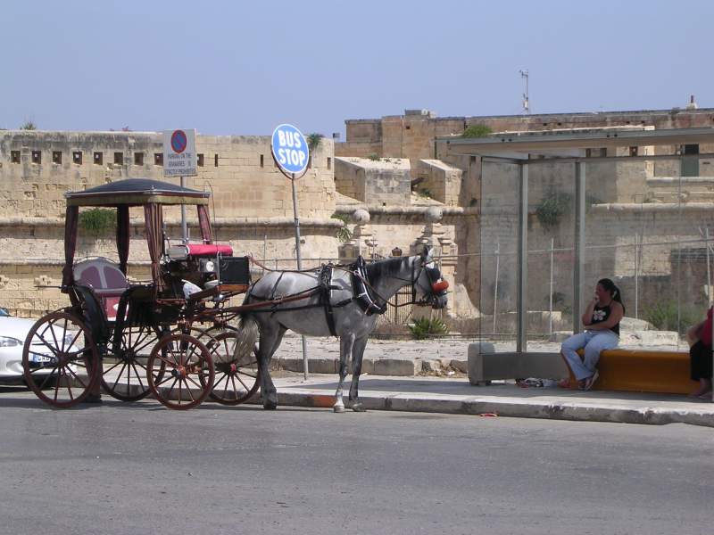 DSCN3337.JPG