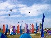 IM000245.JPG