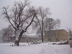 DSCN5265.JPG
