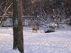 DSCN5307.JPG