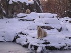 DSCN5308.JPG