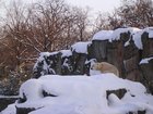 DSCN5312.JPG